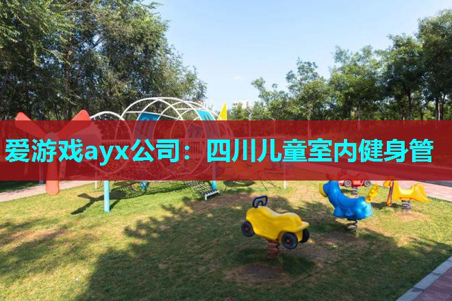 爱游戏ayx公司：四川儿童室内健身管