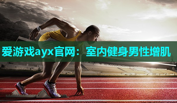 爱游戏ayx官网：室内健身男性增肌