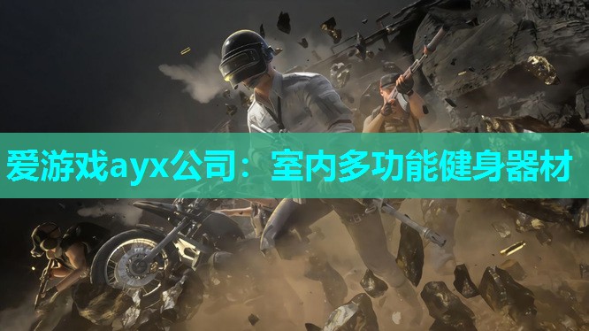 爱游戏ayx公司：室内多功能健身器材