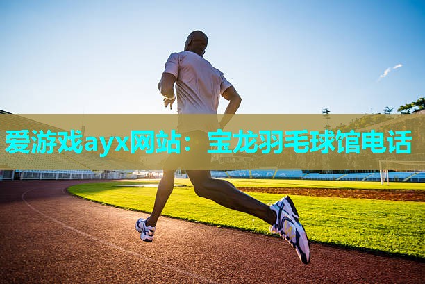 爱游戏ayx网站：宝龙羽毛球馆电话