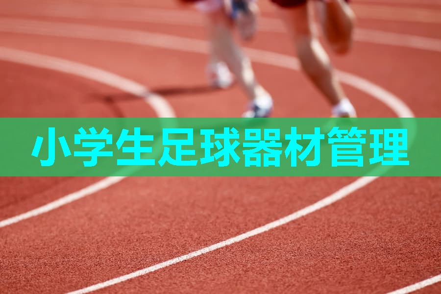 小学生足球器材管理